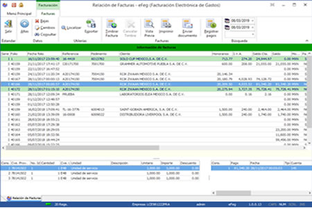 eFeg desktop app showing expense invoicing interface with customs data integration